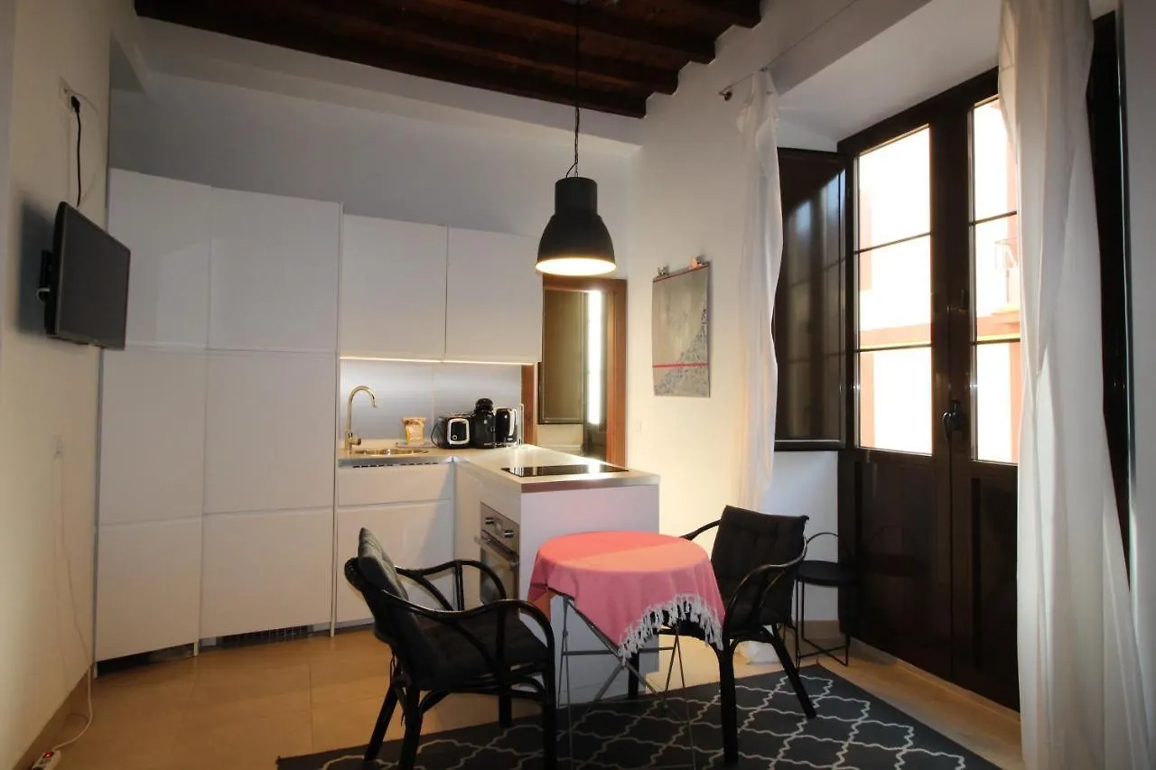 Daire Del Parque Flats Alvarez Suite Málaga