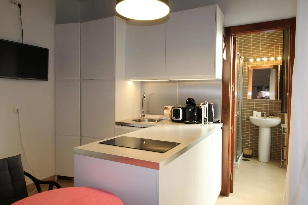 Del Parque Flats Alvarez Suite 马拉加 0*,